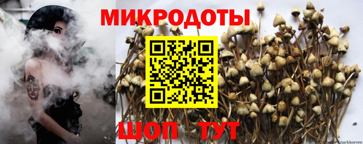 Галлюциногенные грибы мицелий Мирный